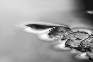 deepl writeとはどのようなツールで、どのように活用できるのか？