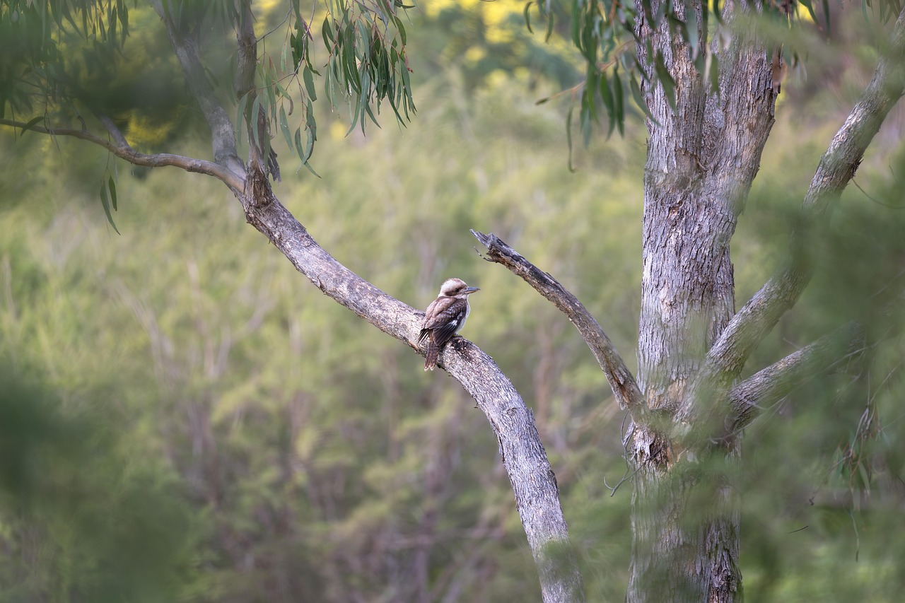 AIライティングツールで選ぶ日本製のおすすめは？