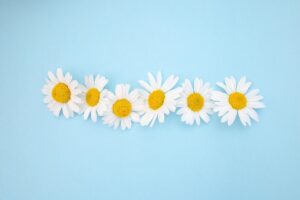 AIライティングツールの著作権問題について知っておくべきことは？