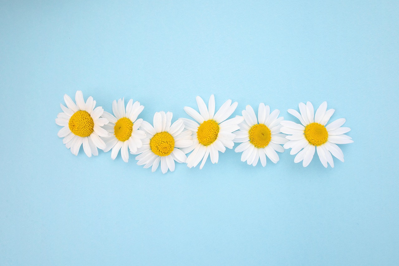 AIライティングツールの著作権問題について知っておくべきことは？