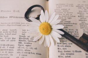 deepl翻訳の評判は本当に良いのか？