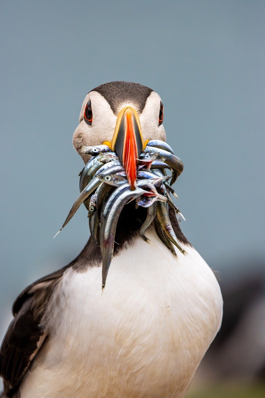 AIライティングツールを活用した広告文のABテストでの成功事例は？