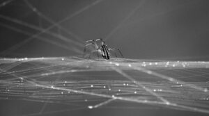WebライターがAIライティングツールの影響を受ける理由とは？