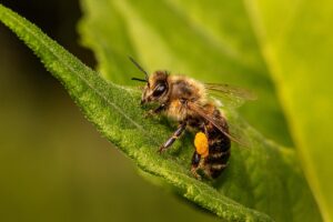 AIライティングツールのAPI連携で効率的なコンテンツ作成は可能ですか？